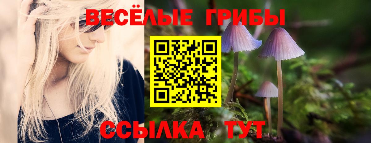 Красноуфимск  Псилоцибиновые грибы мицелий  Вход с VPN  Галлюциногенные грибы Psilocybine cubensis 