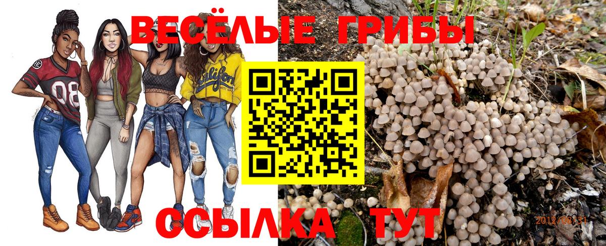 Псилоцибиновые грибы Psilocybine cubensis Красноуфимск